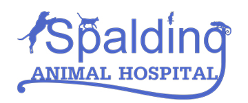 Spalding Animal Hospital – Veterinarian | Animal Hospital | Peach Tree  Corners GA